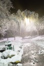 Winter wonderland. Trees covered in snow, night city lights shining through. Ideal picture that brings up holiday spirit