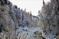 A winter wonderland - trees and mountains full of snow and a footpath along a small creek Royalty Free Stock Photo