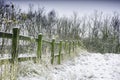 Winter wonderland, Uk.