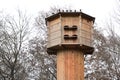 In winter, a wooden house for pigeons stands in front of bare trees and a white background in nature