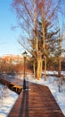 Wooden plank road in Wetland Park in winter