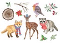 Watercolor wild animals illustration. Hand painted baby deer, fox, raccoon, robin bird, winter plants, isolated