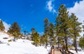 Winter woodland scenery at Bryce Canyon, the USA