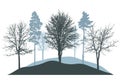 Winter woodland, silhouette of bare trees, pines.  Beautiful nature, landscape. Vector illustration Royalty Free Stock Photo