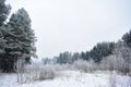 The winter woods through the snowy curtain. Trees in the snow and haze. Winter forest frost fog. Trunks of trees with branches