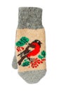 Winter wool glove