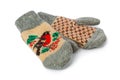 Winter wool gloves Royalty Free Stock Photo