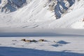 Winter in the Zanskar Valley - 2 Royalty Free Stock Photo