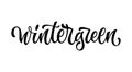 Wintergreen - vector hand drawn calligraphy style lettering word.