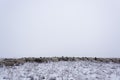 Wintering.Minimalism. Monochrome gray sky. Shepherd with a flock. Nomadic household Kazakhstan.