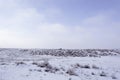 Wintering. Winter view at Balkhash.