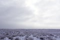 Wintering. Winter view at Balkhash.