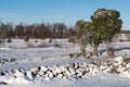 Winterland with snowy stone walls