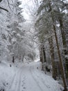 Winterlandscape in bavaria in germany Royalty Free Stock Photo