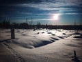 Winterly forest clearing near Granbergsliden in Swedish Lapland