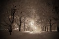 Winternight Royalty Free Stock Photo
