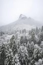 Winters Embrace: A Time-Lapse of a Snowstorm Blanketing a Mountain Landscape