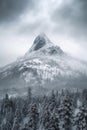 Winters Embrace: A Time-Lapse of a Snowstorm Blanketing a Mountain Landscape