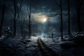 Winters nighttime beauty transforms the tranquil forest into a mystery