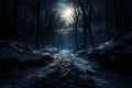 Winters nighttime beauty transforms the tranquil forest into a mystery