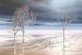 Winterscape