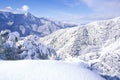 Winterscape, Sequoia National Park, California Royalty Free Stock Photo