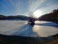 Winterscape tree and a lake view