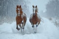 horses running towards the camera in winter