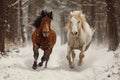 horses running towards the camera in winter