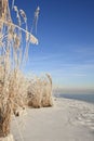 Winterslandschap, Winter landscape Royalty Free Stock Photo