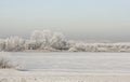 Winterslandschap, Winter landscape Royalty Free Stock Photo