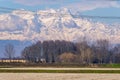 Lomellina countryside winter panorama. Color image Royalty Free Stock Photo