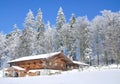 Wintertime in Bavarian Forest Royalty Free Stock Photo