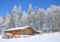 Wintertime in Bavarian Forest