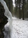 Wintertime in Bavarian forest