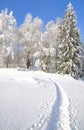 Wintertime in Bavarian Forest,Bavaria,Germany Royalty Free Stock Photo