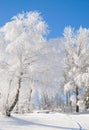 Wintertime in Bavarian Forest,Bavaria,Germany Royalty Free Stock Photo