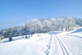 Wintertime in Bavarian Forest,Bavaria,Germany