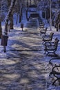 Wintertime in Bucharest  - Morarilor Park Royalty Free Stock Photo