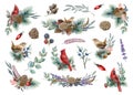 Wintertime floral decor set with birds. Watercolor illustration. Hand drawn vintage style cozy winter decoration set
