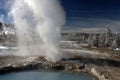 Wintertime image in Yellowstone National Park.