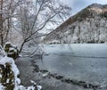 Wintertime on Lunzer See in Austria Royalty Free Stock Photo