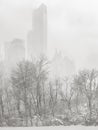 Wintertime in NYC - Snowstorm outshines Manhattan's skyscrapers Royalty Free Stock Photo