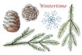 Wintertime set with evergreen twigs, pine cone, snowflake. Watercolour Christmas and New Year floral. Fir Tree Branches