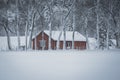 Wintertime and snowy forest with wooden houses Royalty Free Stock Photo