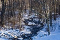 A Winter View of a Wild Mountain Trout Stream Royalty Free Stock Photo