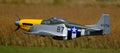 Winterton, Scunthorpe, UK. July 2022.0 Model radio controlled Mustang P51 in flight. Royalty Free Stock Photo