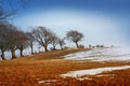 Wintery landscape