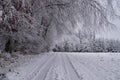 a wintery landscape of Bavarian countryside with trees covered with snow and rime ice around Christmas time (Germany) Royalty Free Stock Photo