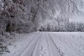 a wintery landscape of Bavarian countryside with trees covered with snow and rime ice around Christmas time (Germany) Royalty Free Stock Photo